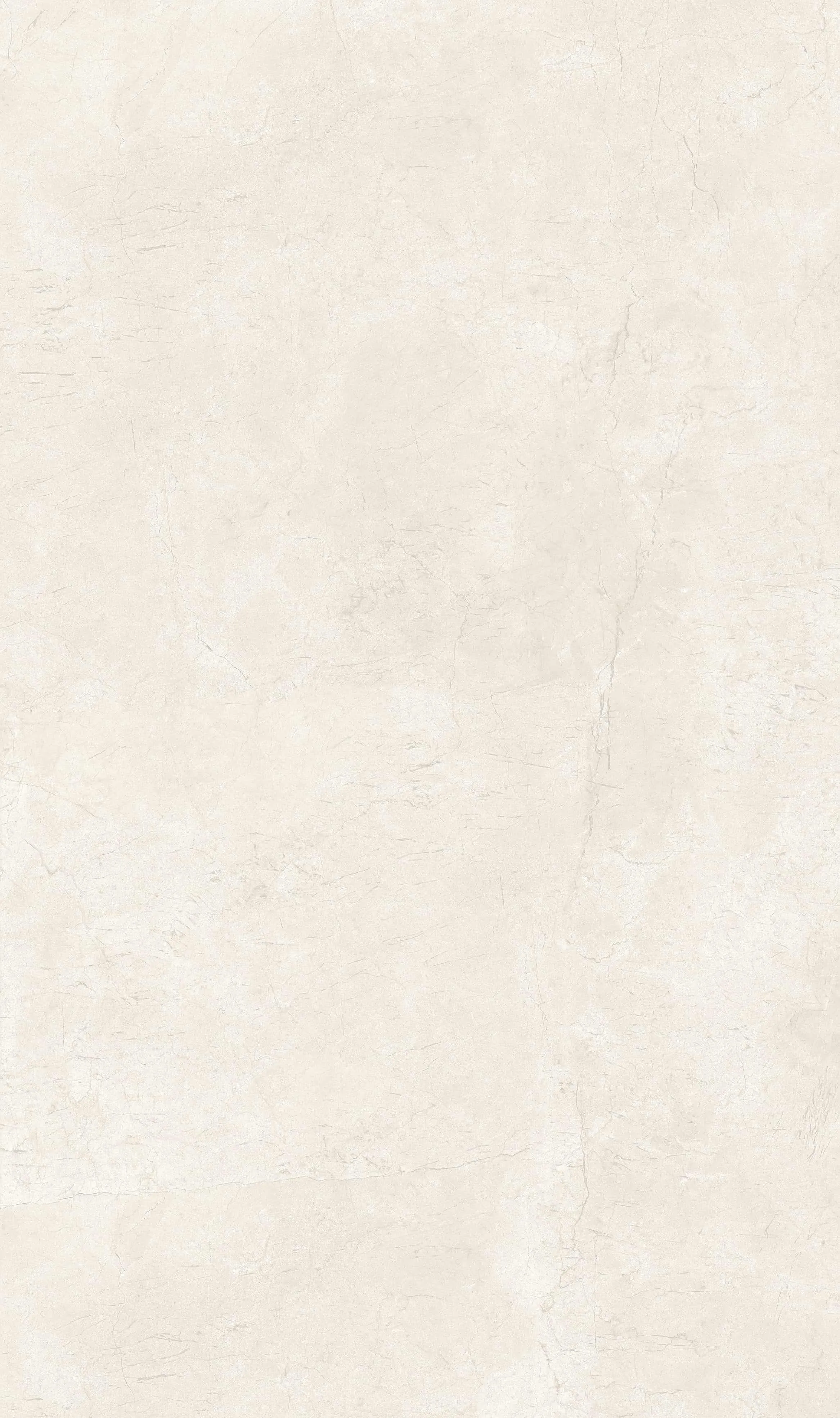 K01388881YSM