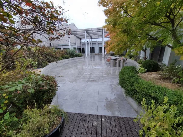 IT company head-quarrter Green Roof