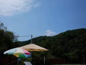 Pet-Friendly Pool Villa