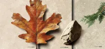 Indoor & Outdoor Anti-Slip Tiles | Limenza Series in Multiple Sizes