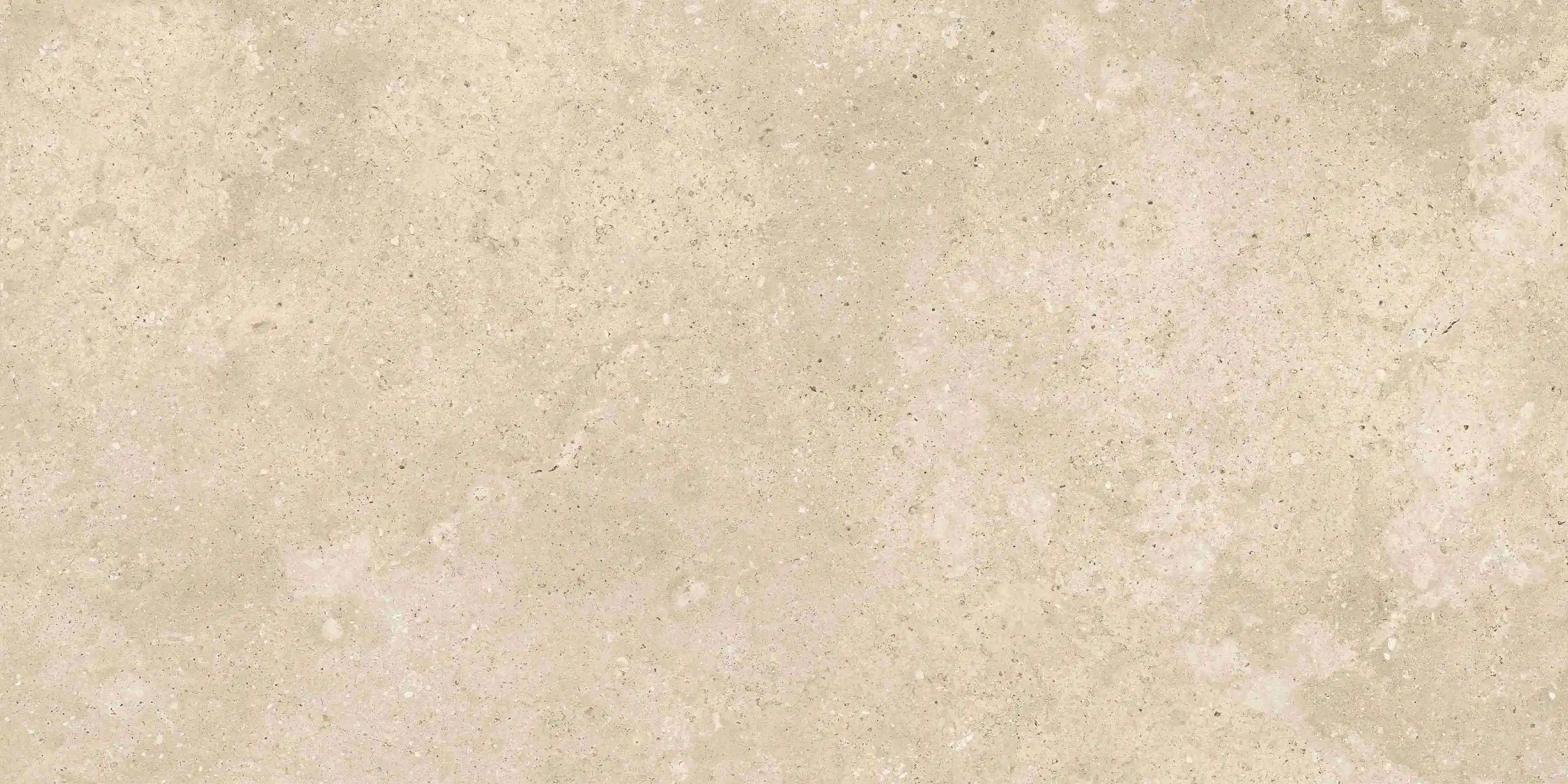 K01266217TAR