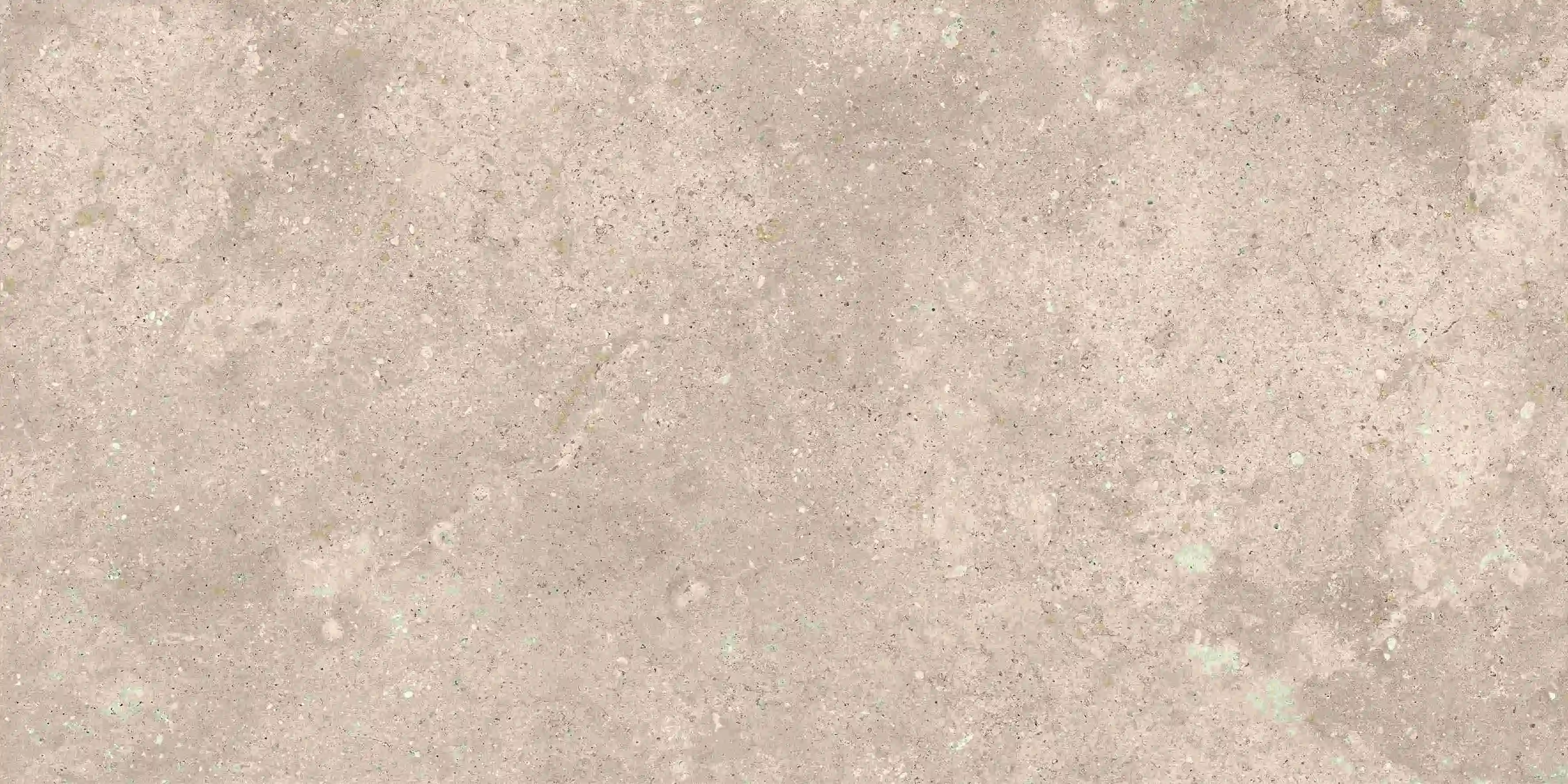 K01266216TAR