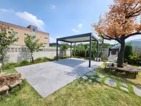 Detached House Backyard